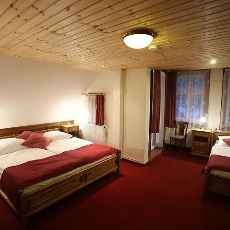 Jelinek Spindleruv Mlyn