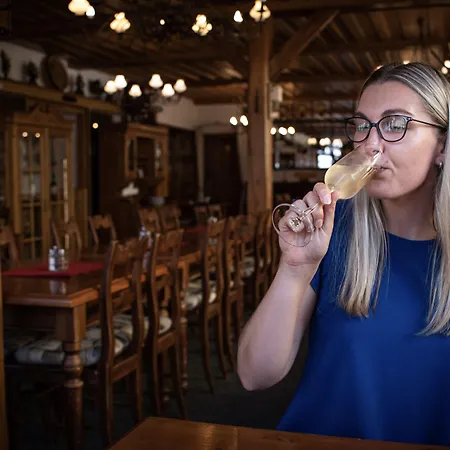 Jelinek 4* Špindlerŭv Mlýn