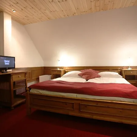 Hotel Jelinek 4*