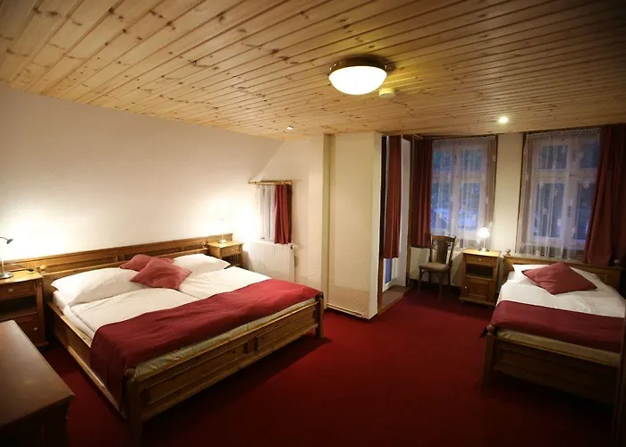 Jelinek Spindleruv Mlyn